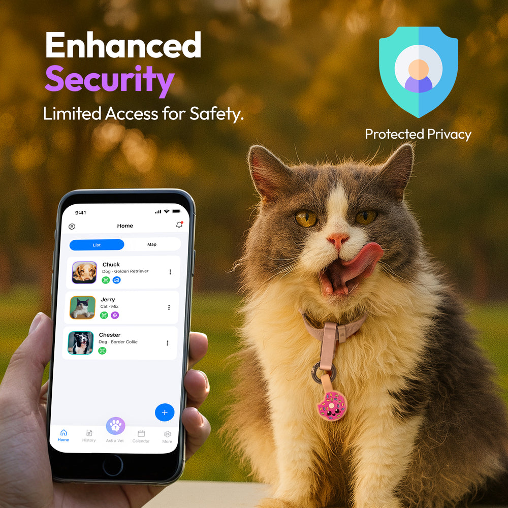 Smart ID Tag, Donut