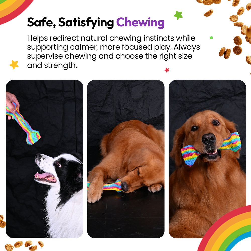 Chewster Blocky Bone, Rainbow