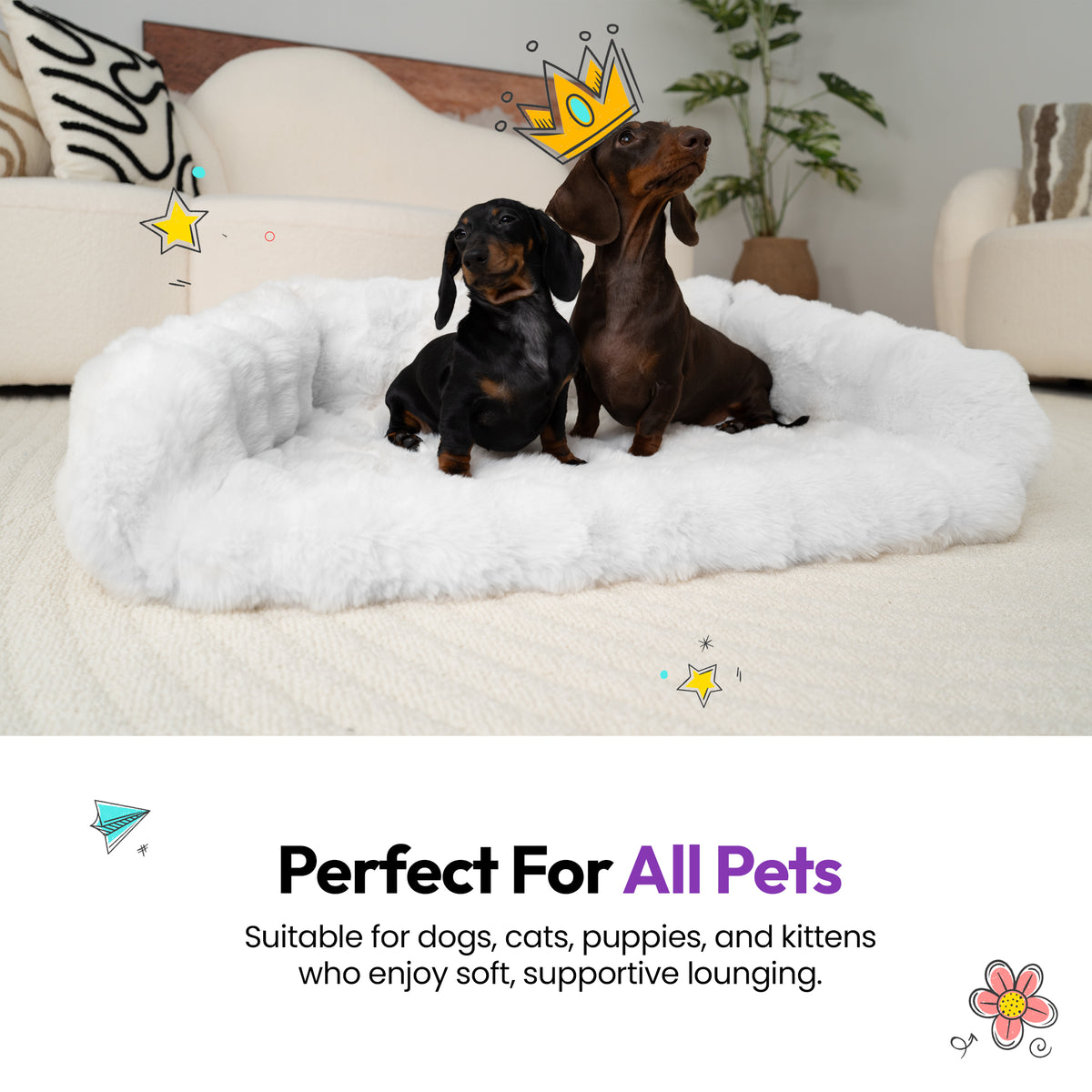 White | Furry Curves Open Front Rectangle Bed: Perfect for all pets: two dachshunds on the White bed