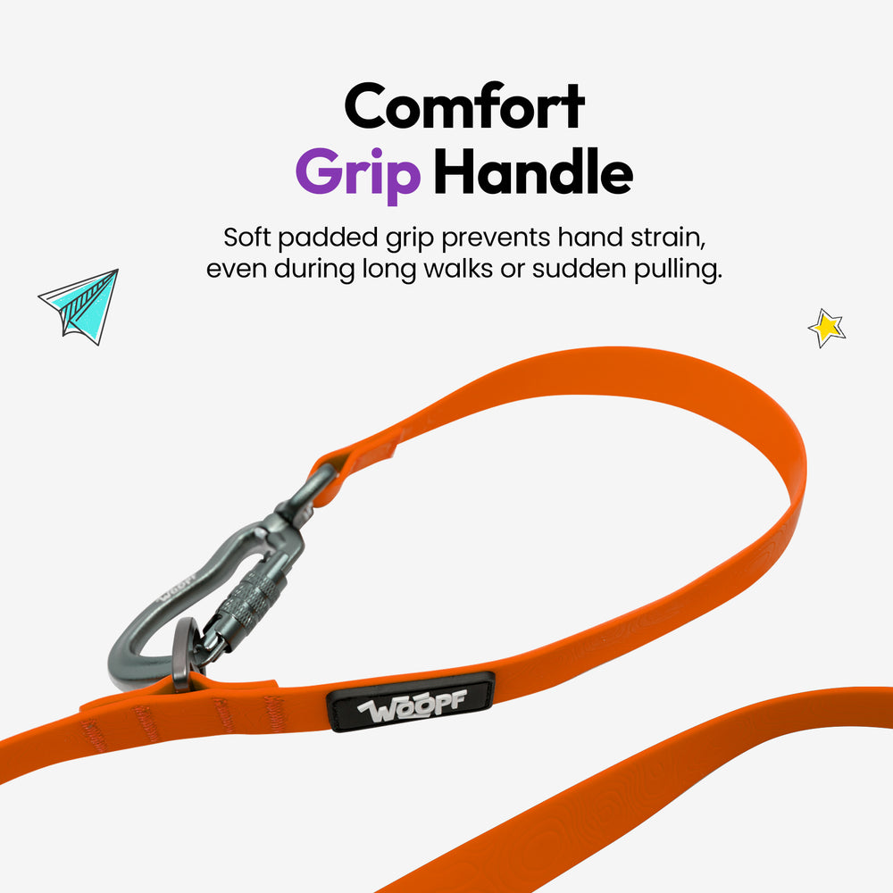 Sealskin Extendable Leash, Orange
