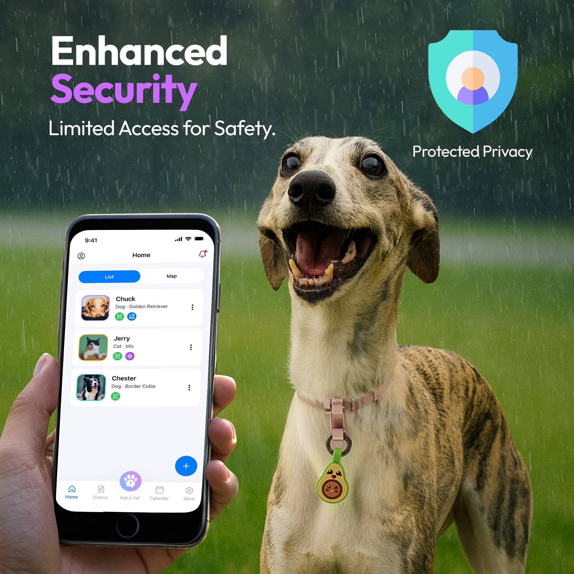 PADDY'S GARDEN BUNDLE