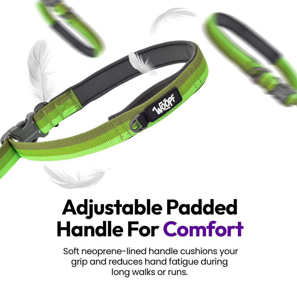 Explorer Bungee Leash, Green