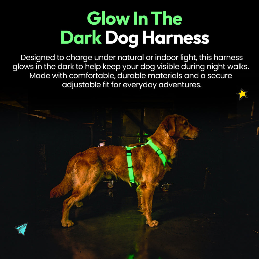 Sealskin Harness, Glow
