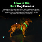 Glow