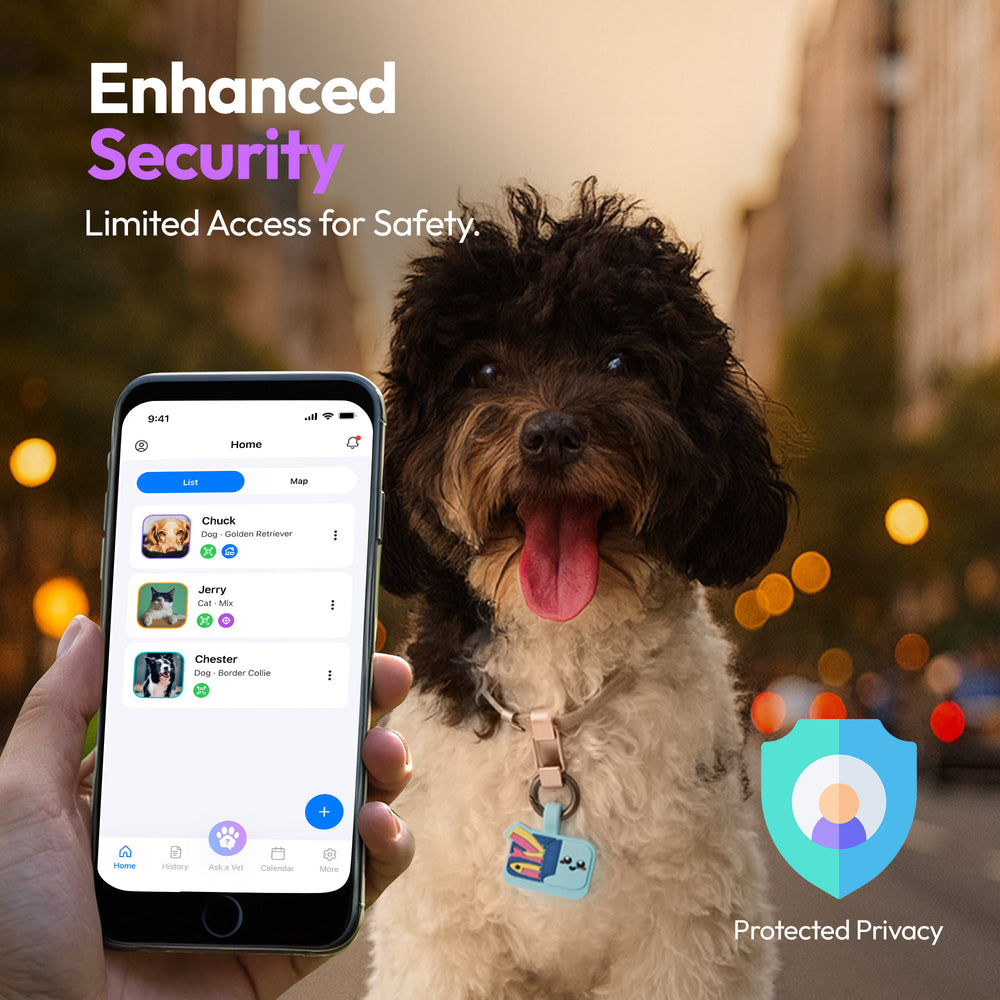 Smart ID Tag, Sardines