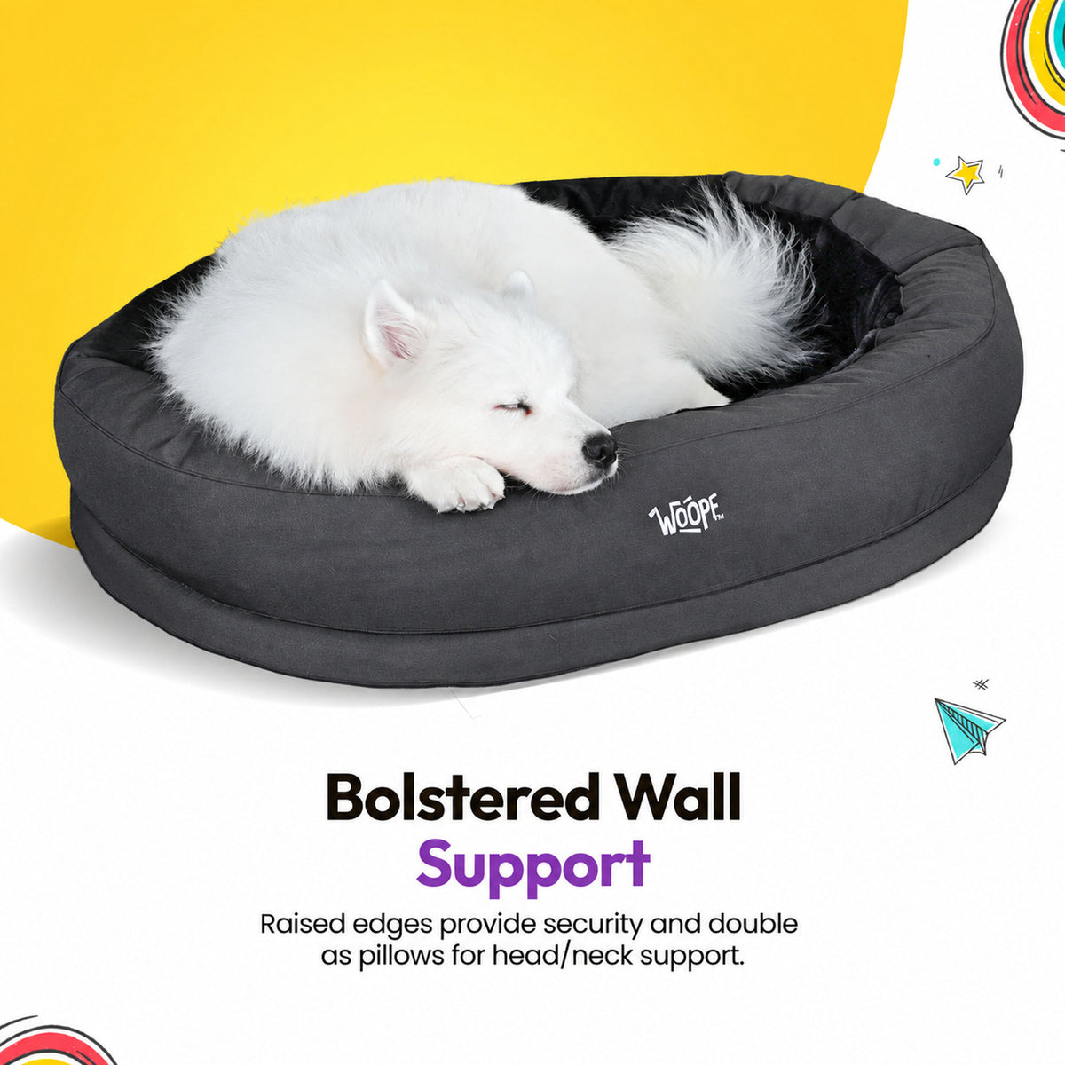 Black | NÄP Orthopedic Bed: Samoyed curled up in the Black bed, headed Bolstered Wall Support