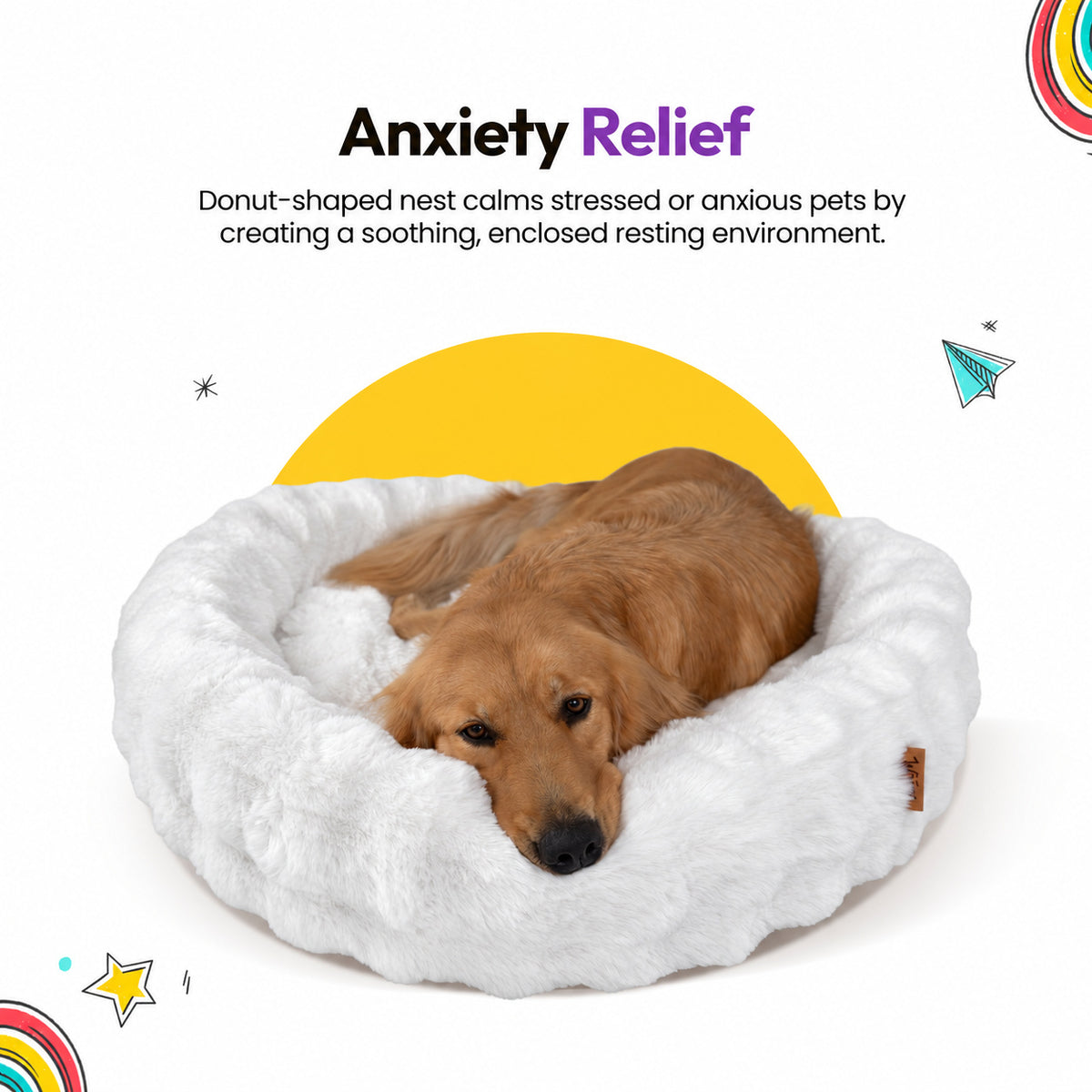White | Furry Curves Round Bed: Anxiety relief: a golden retriever resting in the White donut-shaped bed