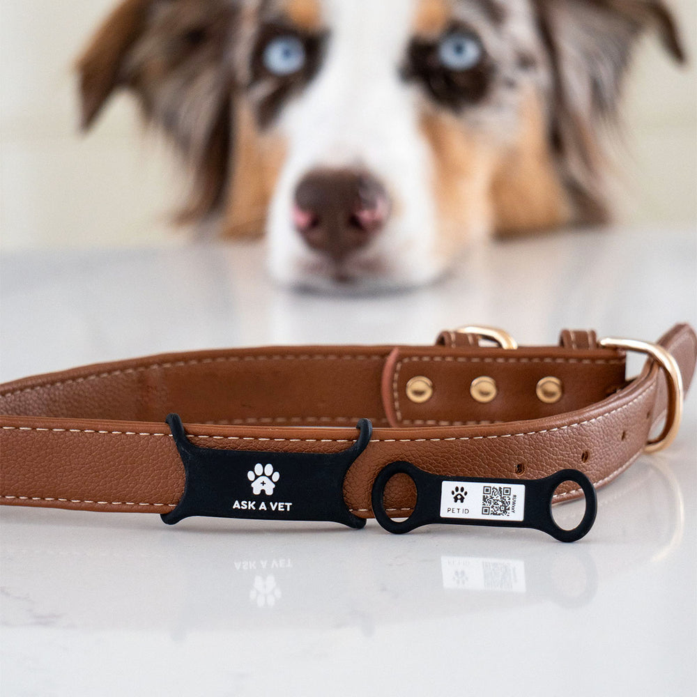 Smart ID Tag, Slide-On
