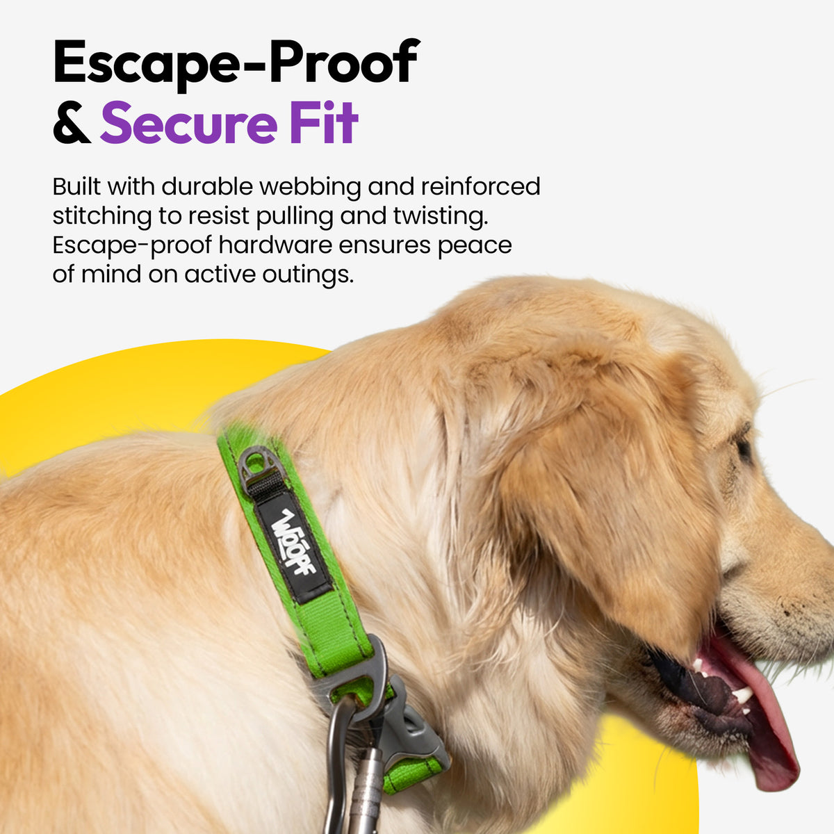 Green | Explorer Collar: German shepherd wearing the Green collar, on a card headed Escape-Proof & Secure Fit