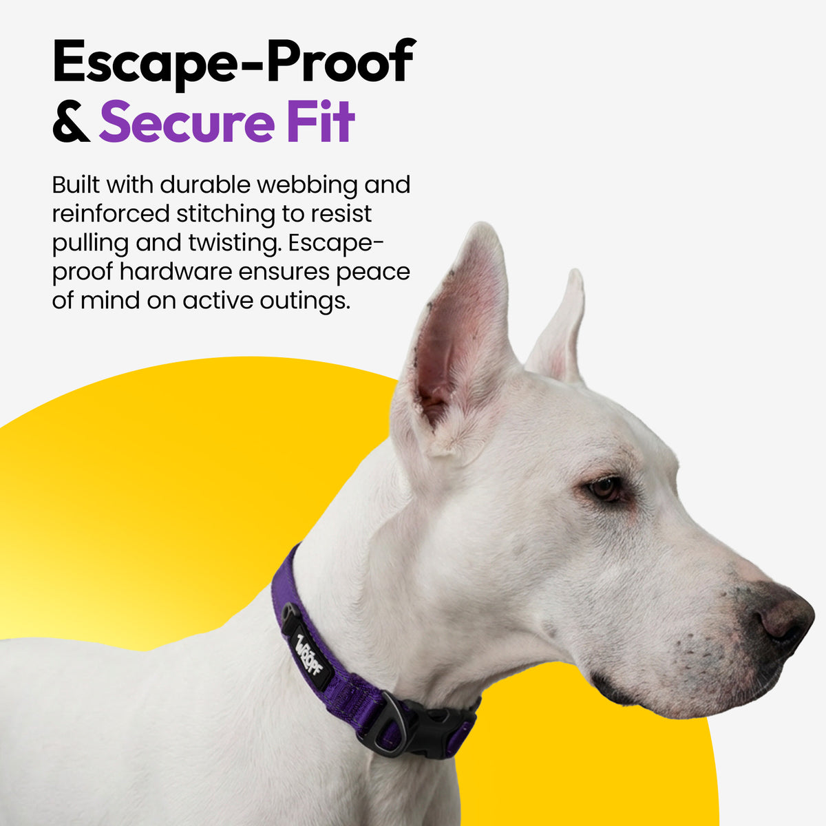 Purple | Explorer Collar: German shepherd wearing the Purple collar, on a card headed Escape-Proof & Secure Fit