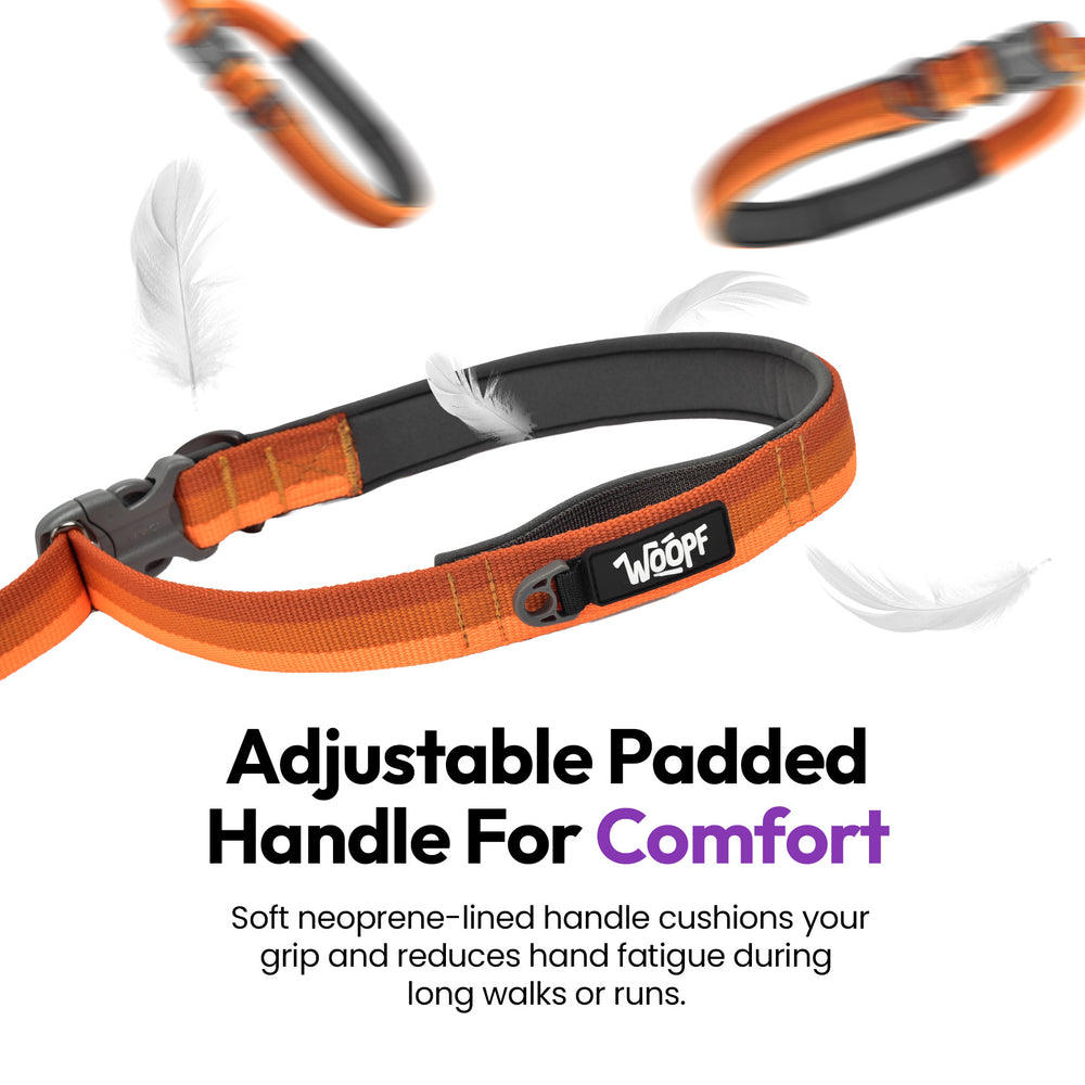 Explorer Bungee Leash, Orange