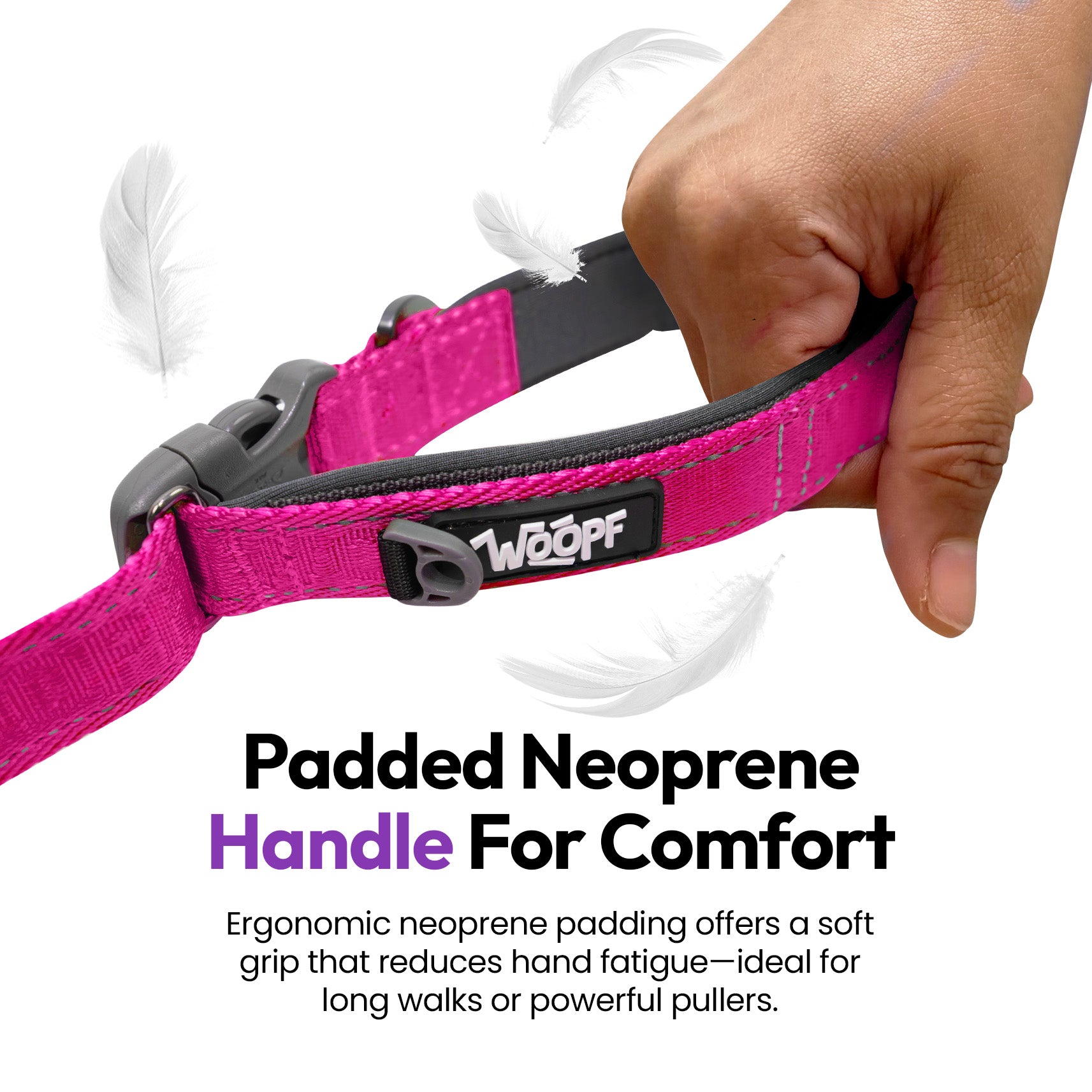 Laisse extensible Explorateur