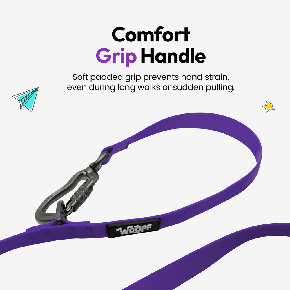 Sealskin Extendable Leash, Purple