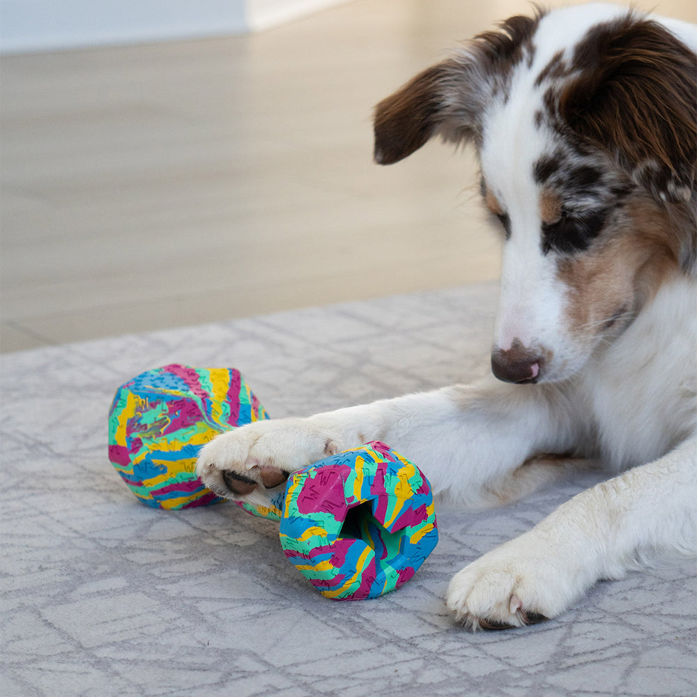 Chewster Blocky Knochen, Rainbow