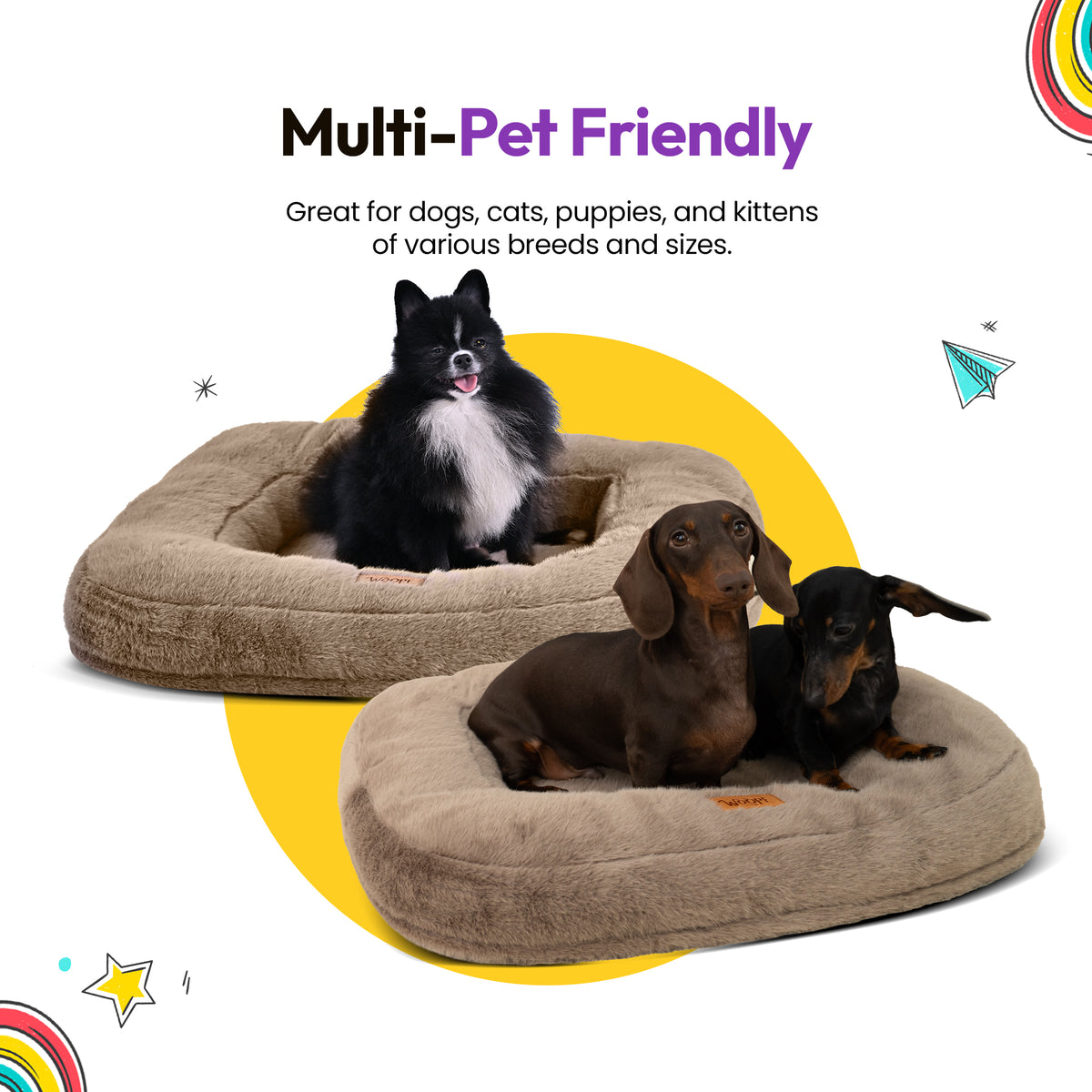 Brown | Furry Range Rectangle Bed: A Pomeranian in one Brown bed and two dachshunds in another, headed Multi-Pet Friendly