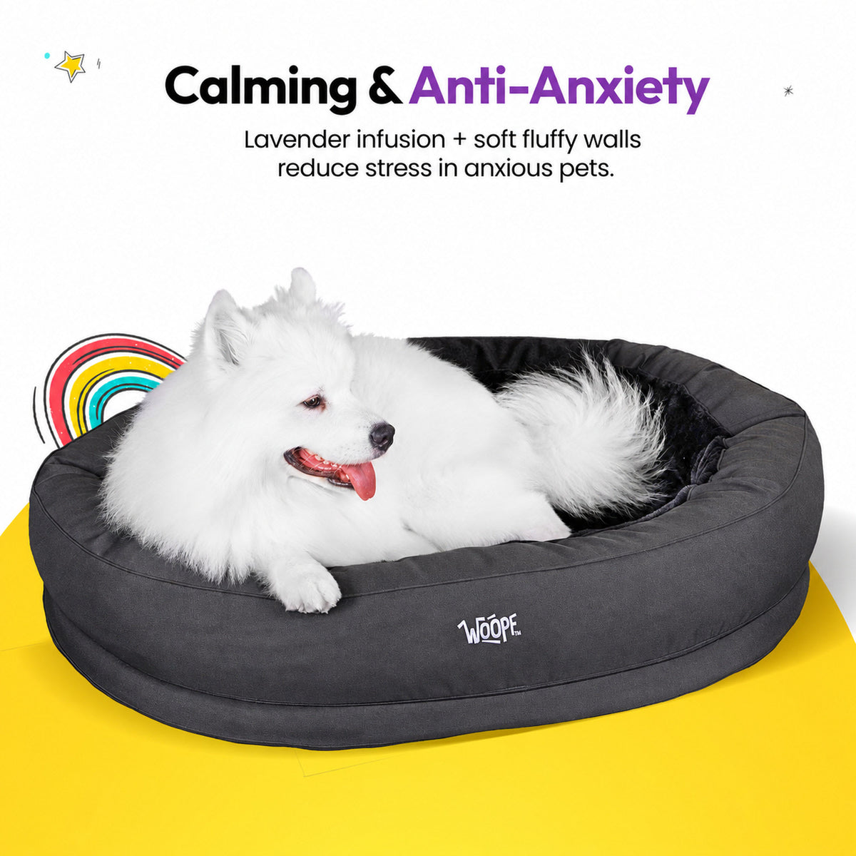 Black | NÄP Orthopedic Bed: Samoyed in the Black bed, headed Calming & Anti-Anxiety