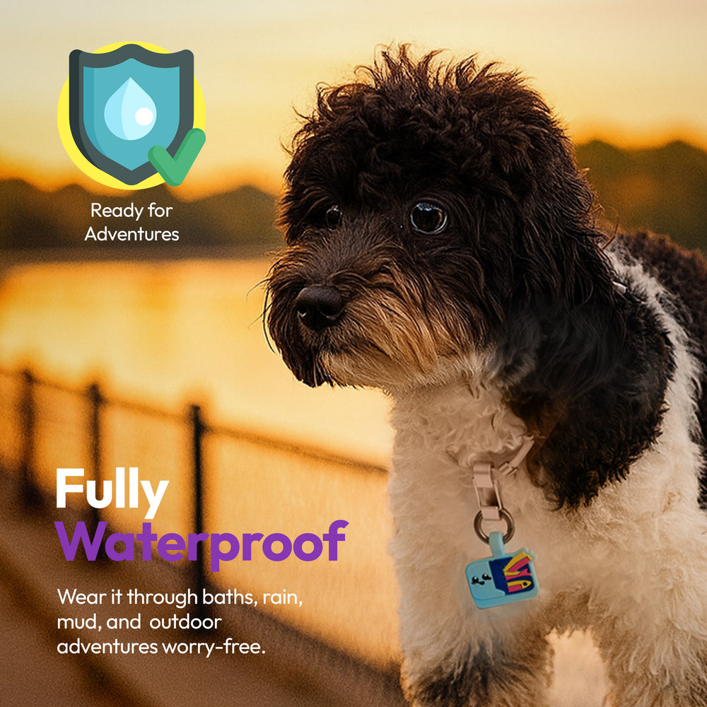 Smart ID Tag, Sardines