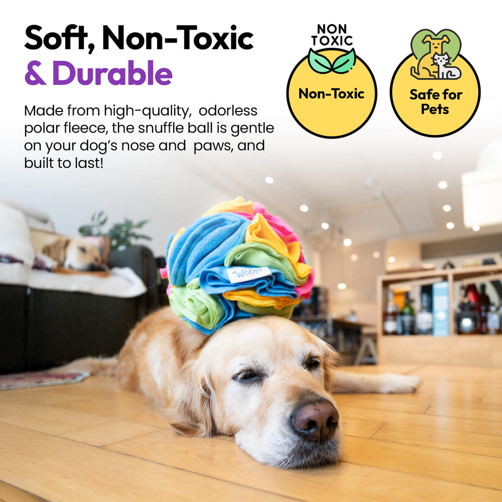 Chase & Sniff Bundle