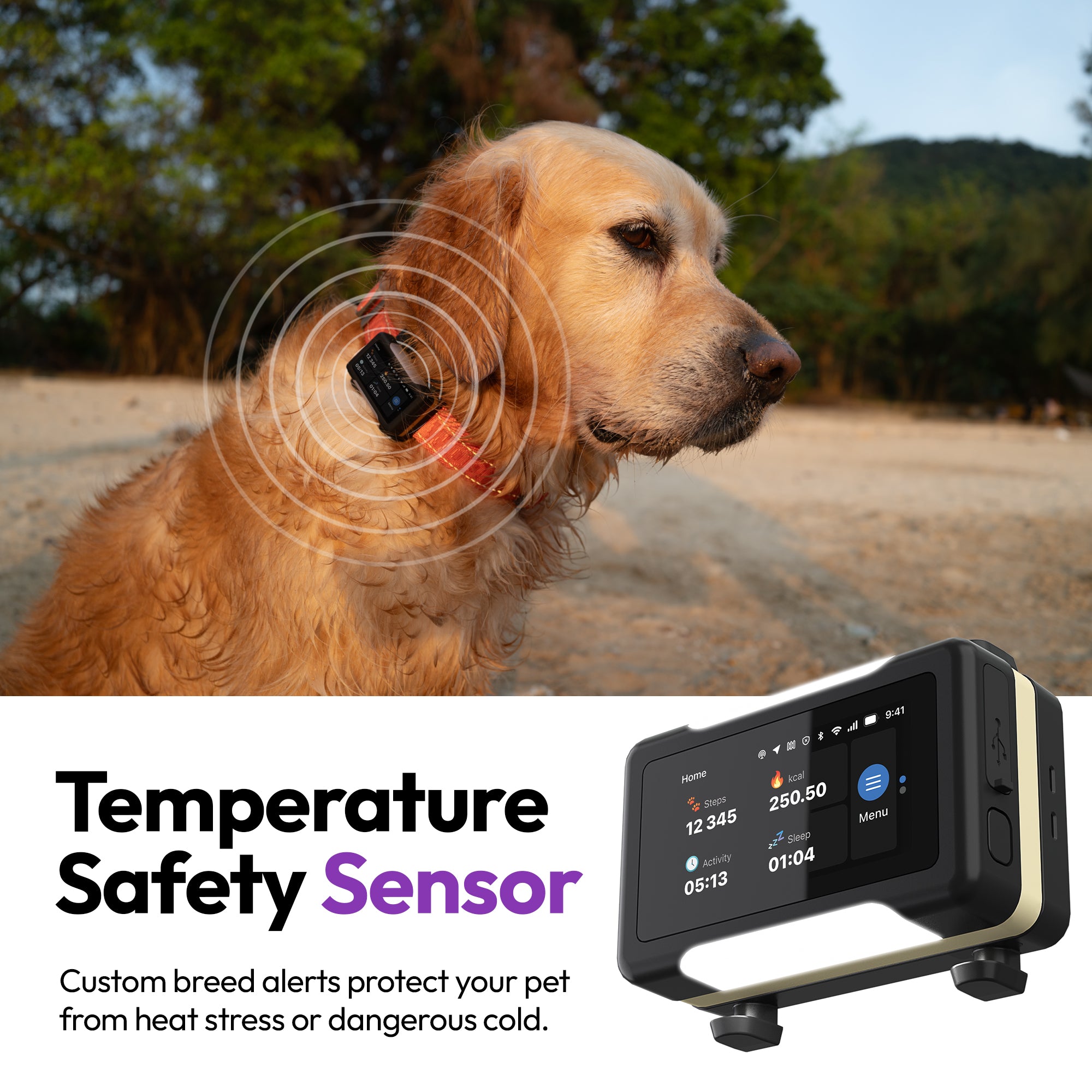 Hochwertiger GPS-, Gesundheits- und Trainingsaufzeichner