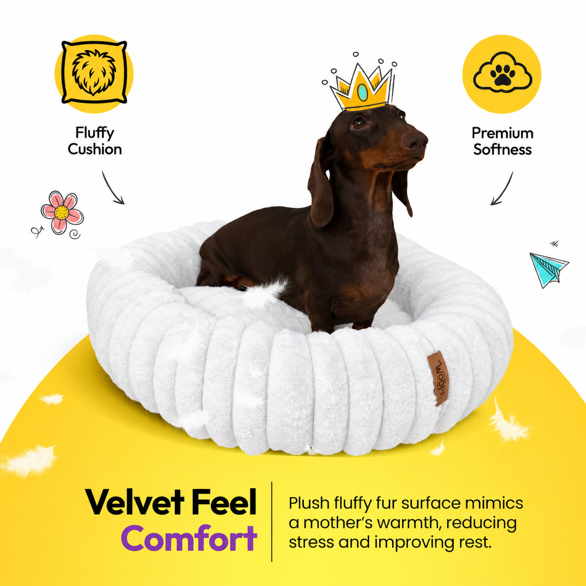 White | Furry Corduroy Round Bed: Dachshund in a paper crown in the White bed on a yellow graphic card