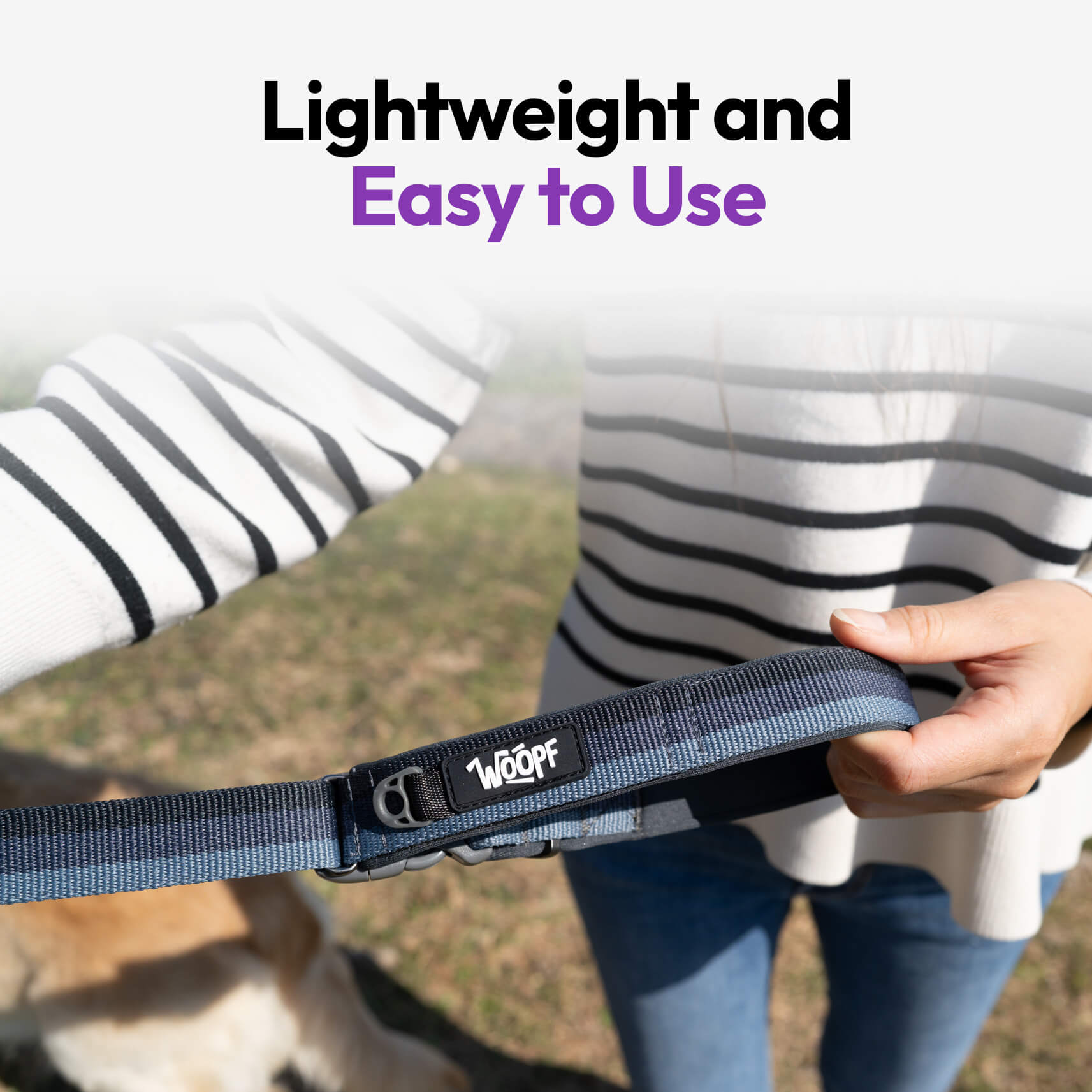 PAQUETE URBANO PARA PERROS