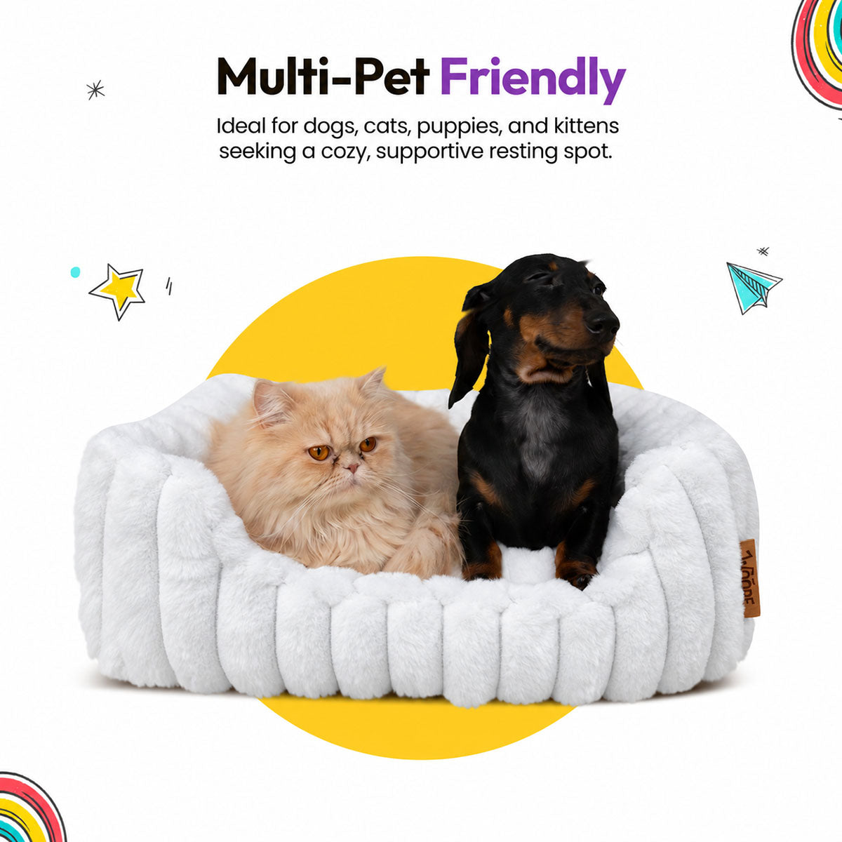 White | Furry Corduroy Open Front Rectangle Bed: Dachshund and a ginger Persian cat in the White bed, headed Multi-Pet Friendly