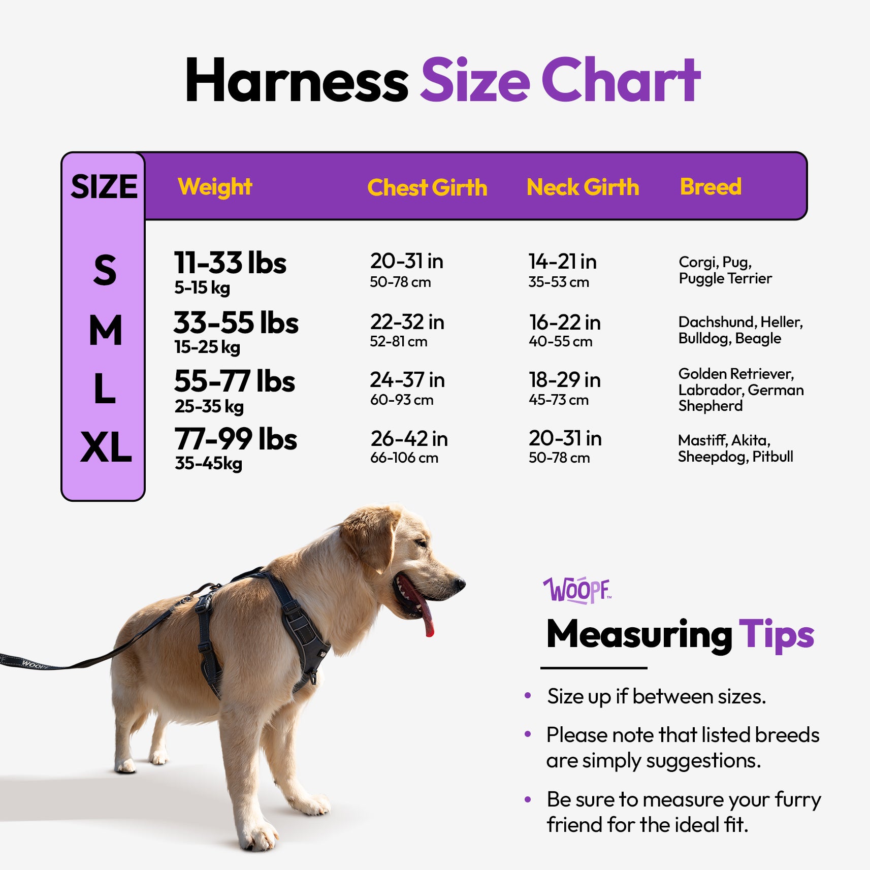 PAQUETE URBANO PARA PERROS