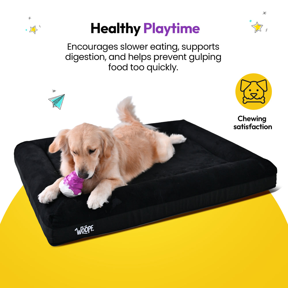 Chewster Snacky Hive, Purple