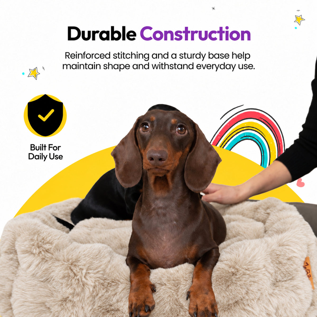 Cream | Furry Curves Round Bed: Durable construction: a dachshund sitting in the Cream round bed