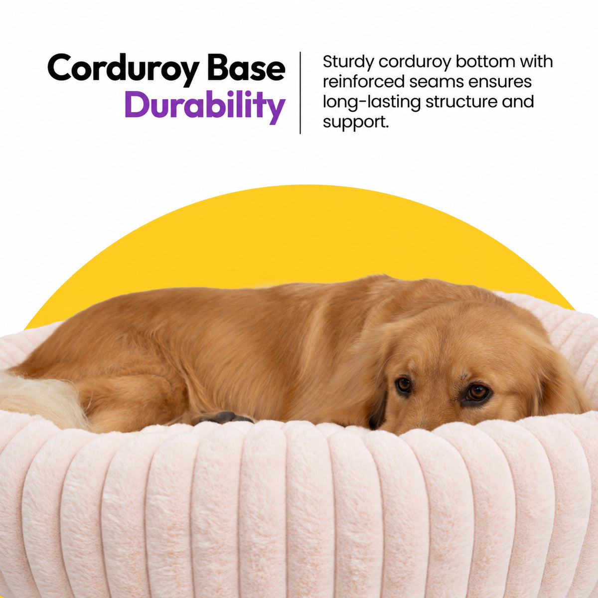 Pale pink | Furry Corduroy Round Bed: Close-up of a golden retriever lying in the Pale pink bed on a yellow graphic card