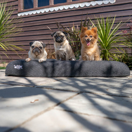 SNÜZ Bed Cover (Dig-Proof & Waterproof)