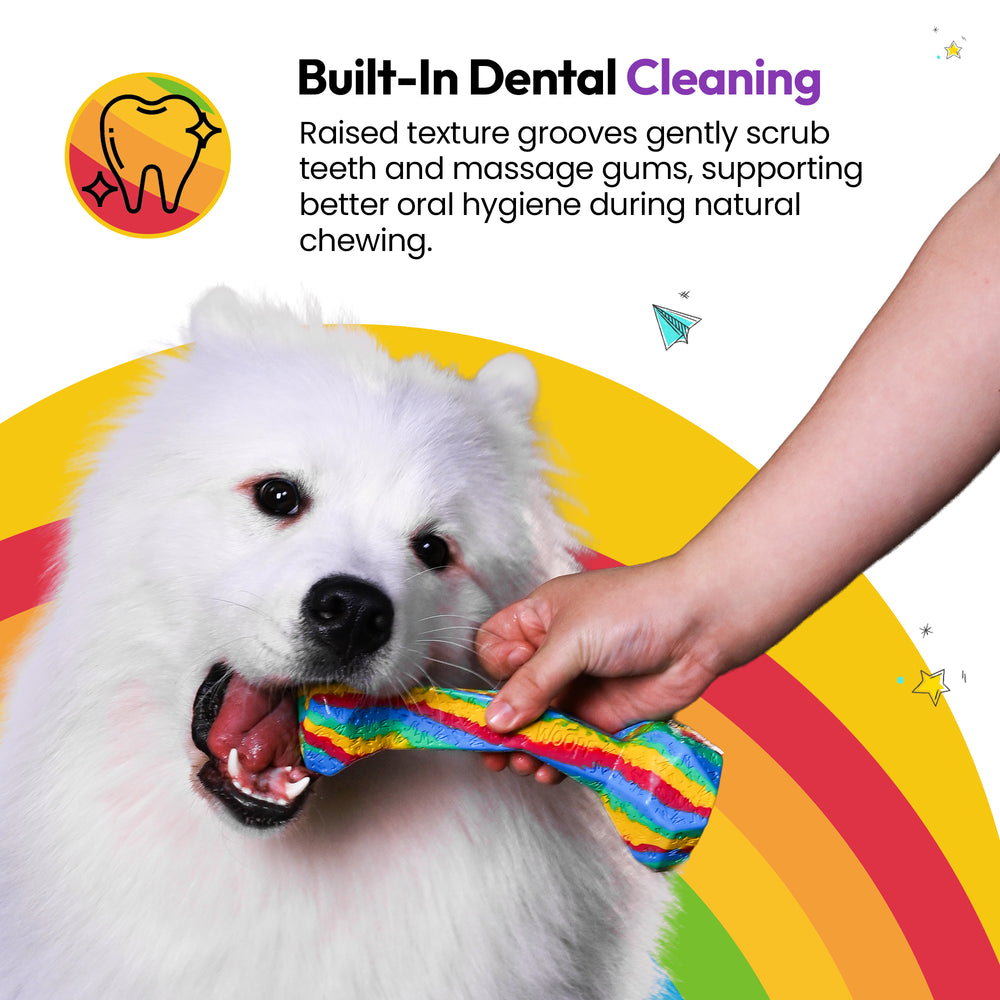 Chewster Blocky Bone, Rainbow