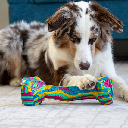 Chewster Blocky Bone