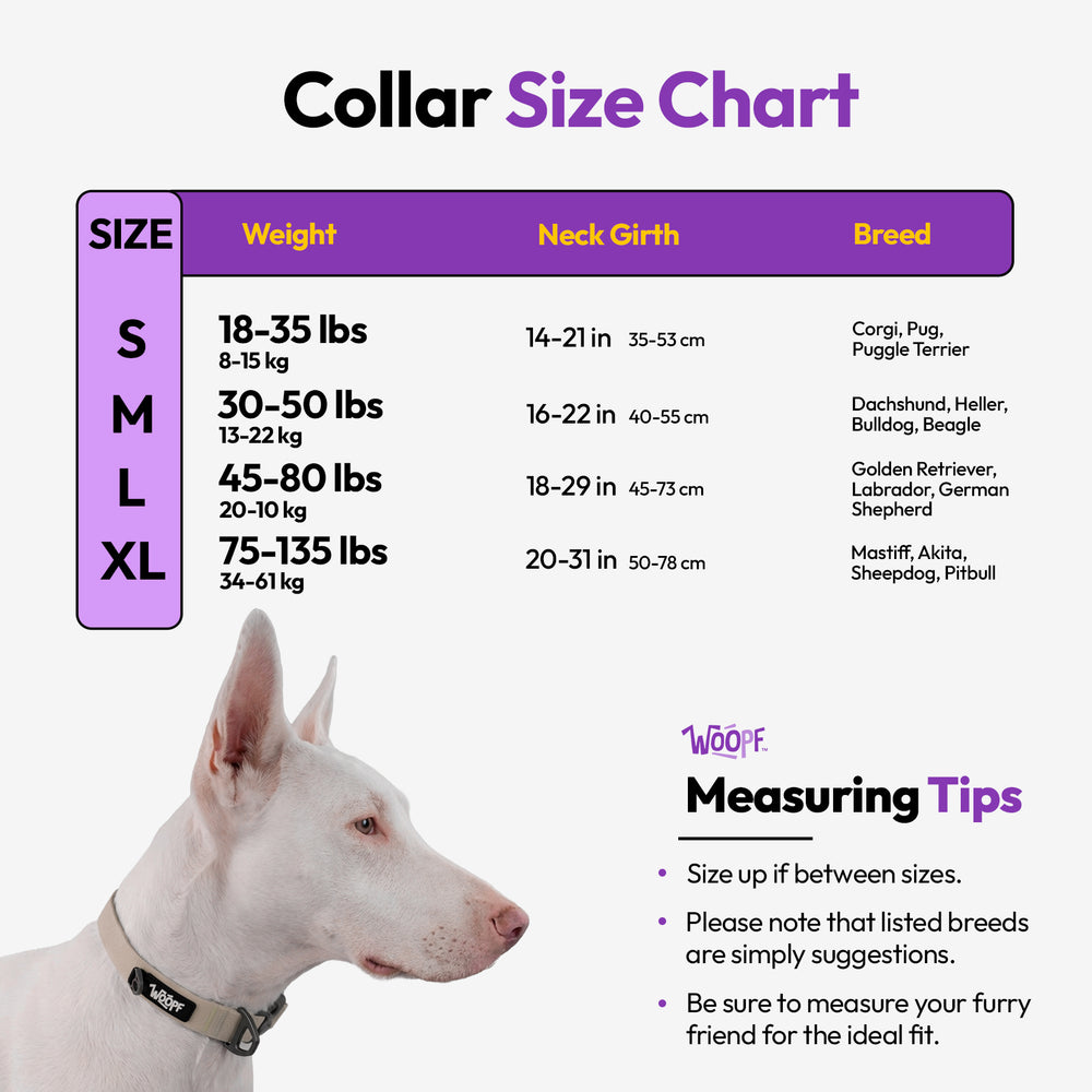 Sealskin Collar, Glow