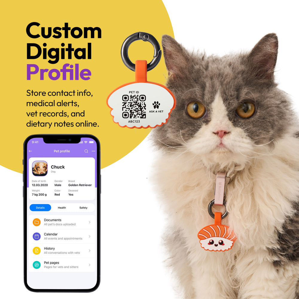 Smart ID Tag, Salmon Sushi