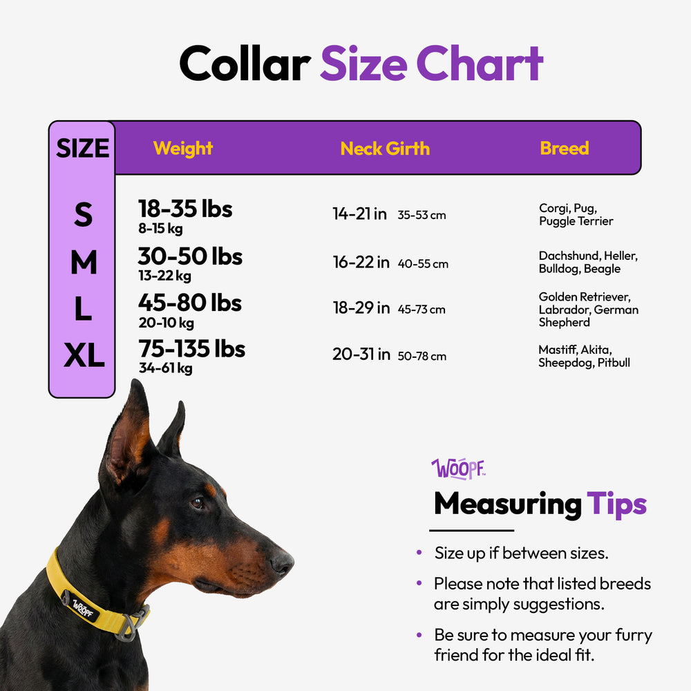 Sealskin Collar, Yellow