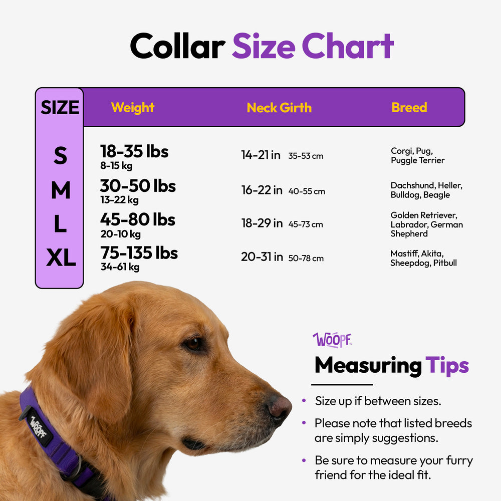 Sealskin Collar, Purple
