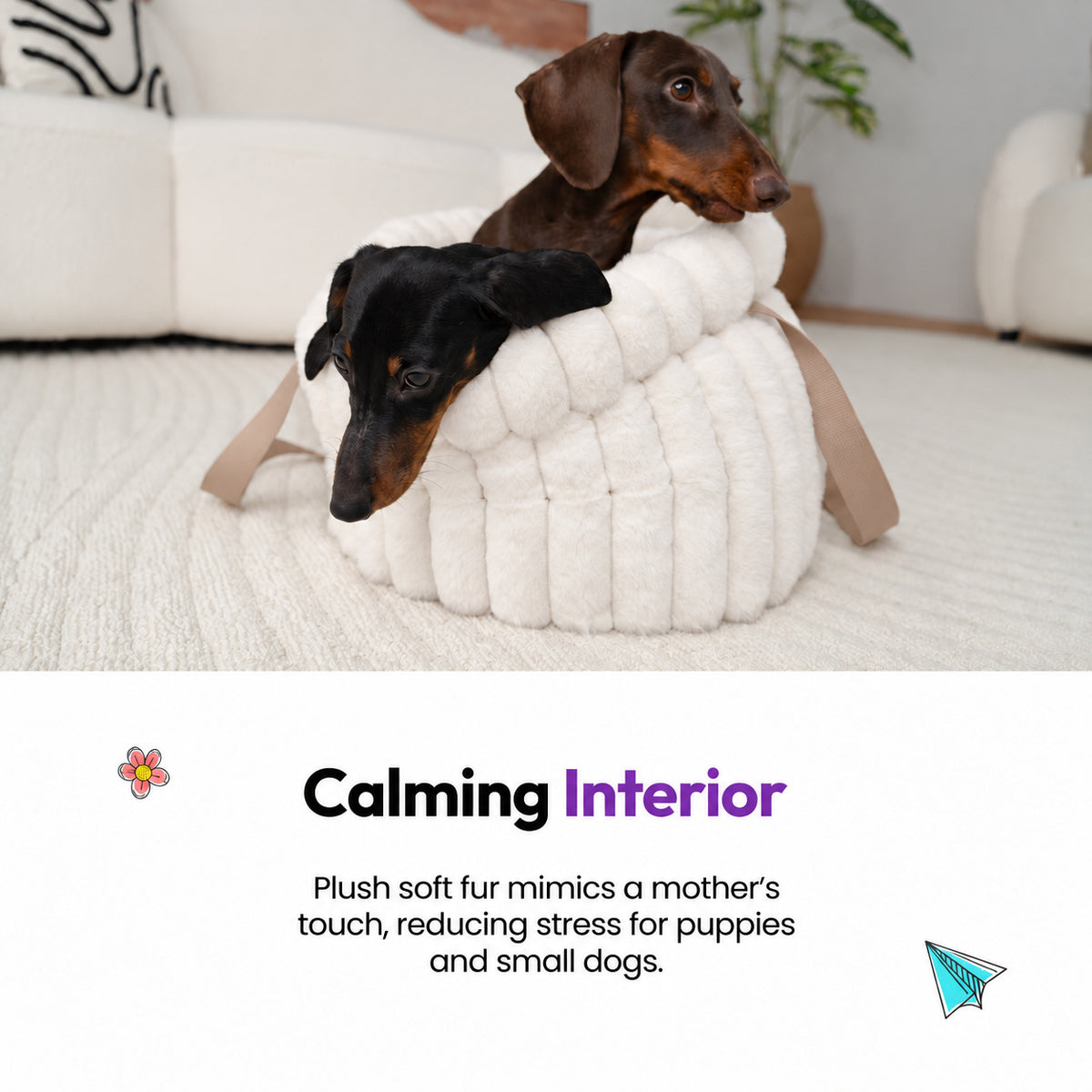 White | Corduroy Calming Dog Carrier: Two dachshunds in the White carrier in a living room, on a graphic card