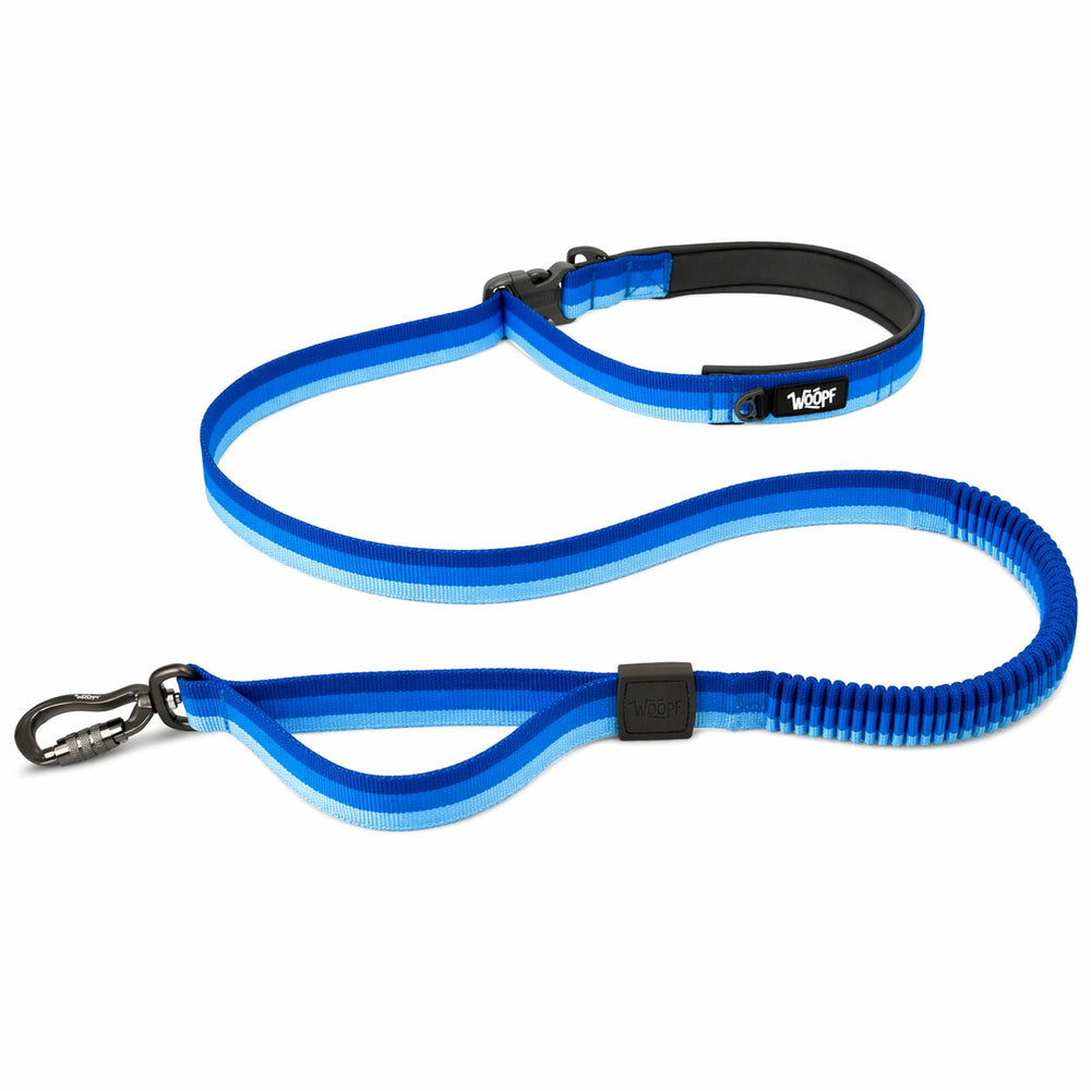 Explorer Bungee Leash, Blue