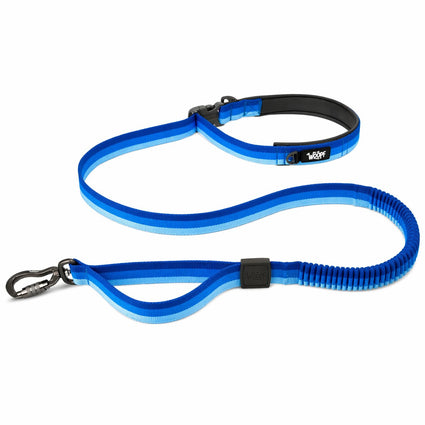 Explorer Bungee Leash