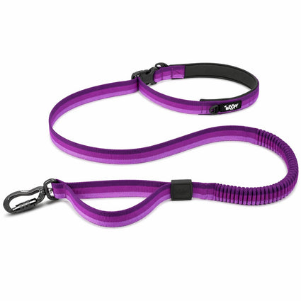 Explorer Bungee Leash