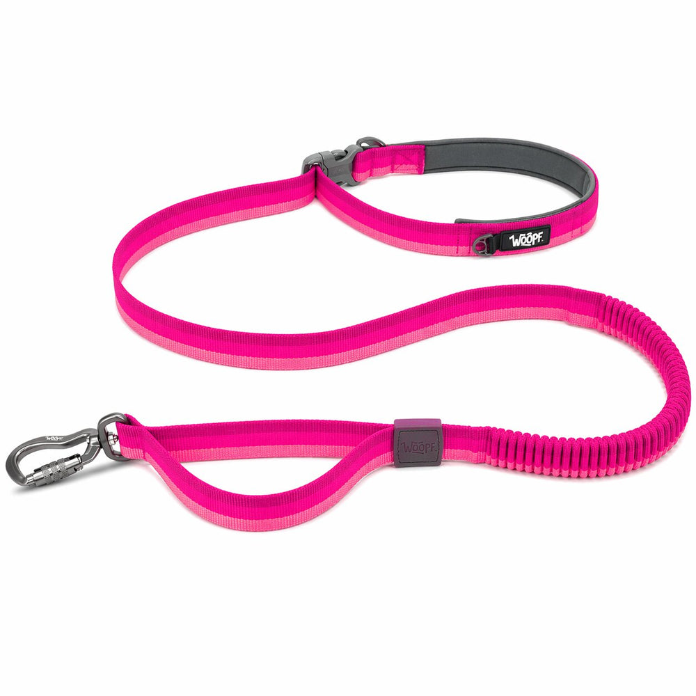 Explorer Bungee Leash, Pink