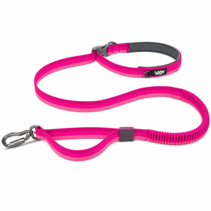 Explorer Bungee Leash