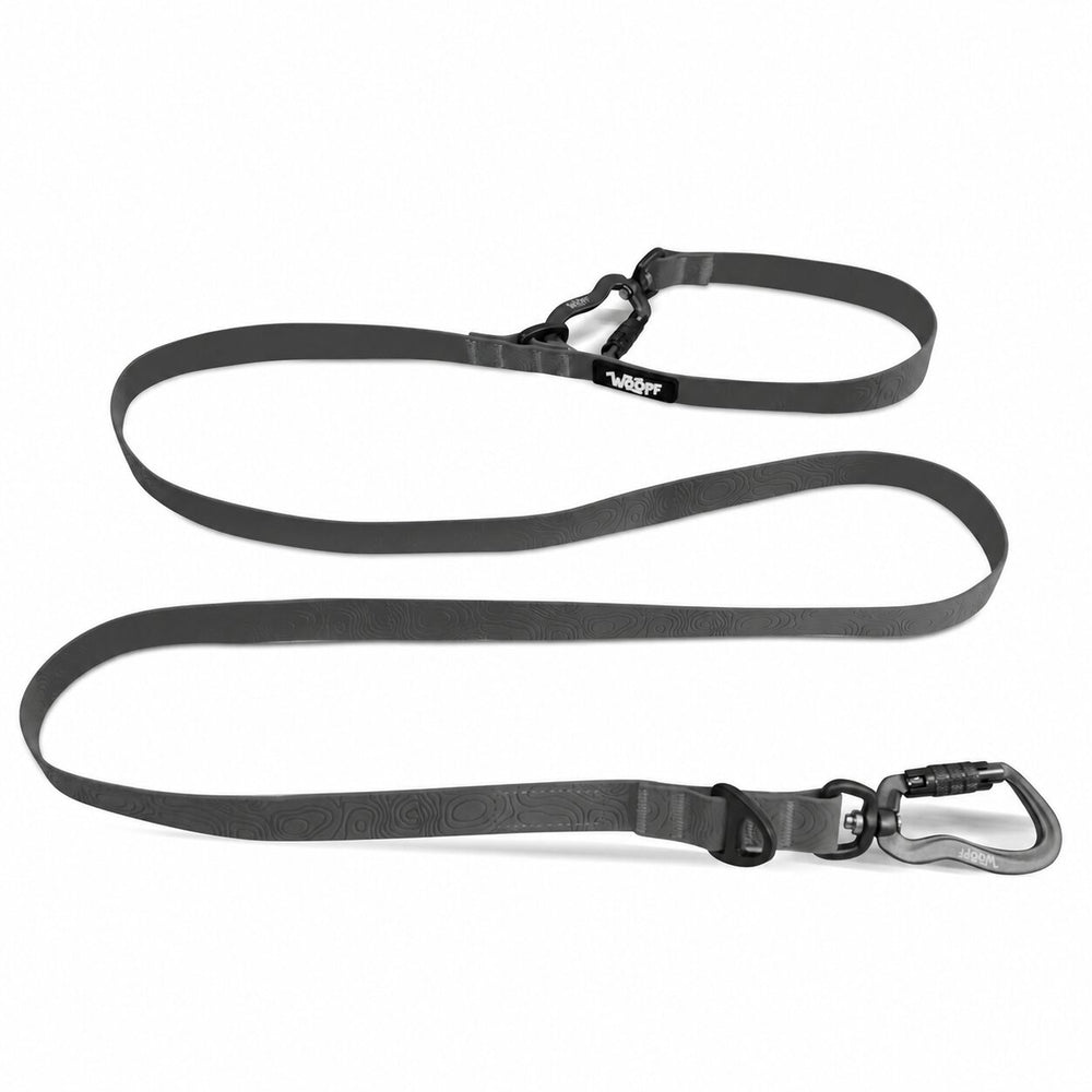 Sealskin Extendable Leash, Grey