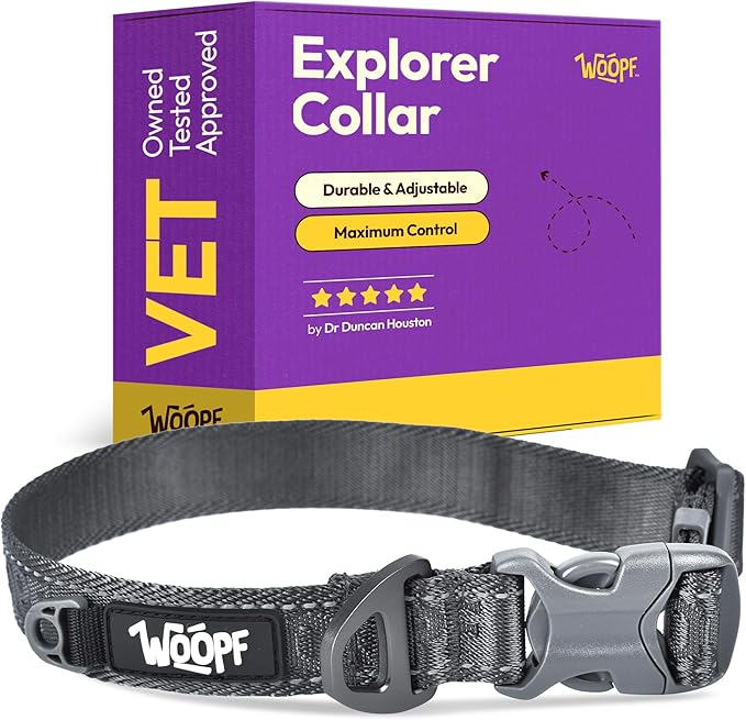 Explorer Dog Collar | Adjustable No Pull Dog Collar with Reflective Straps | Durable, Lightweight, Breathable with Pet Tag Ring and Quick-Release Buckle (Grey, Medium)