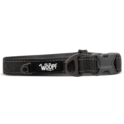 Explorer Collar