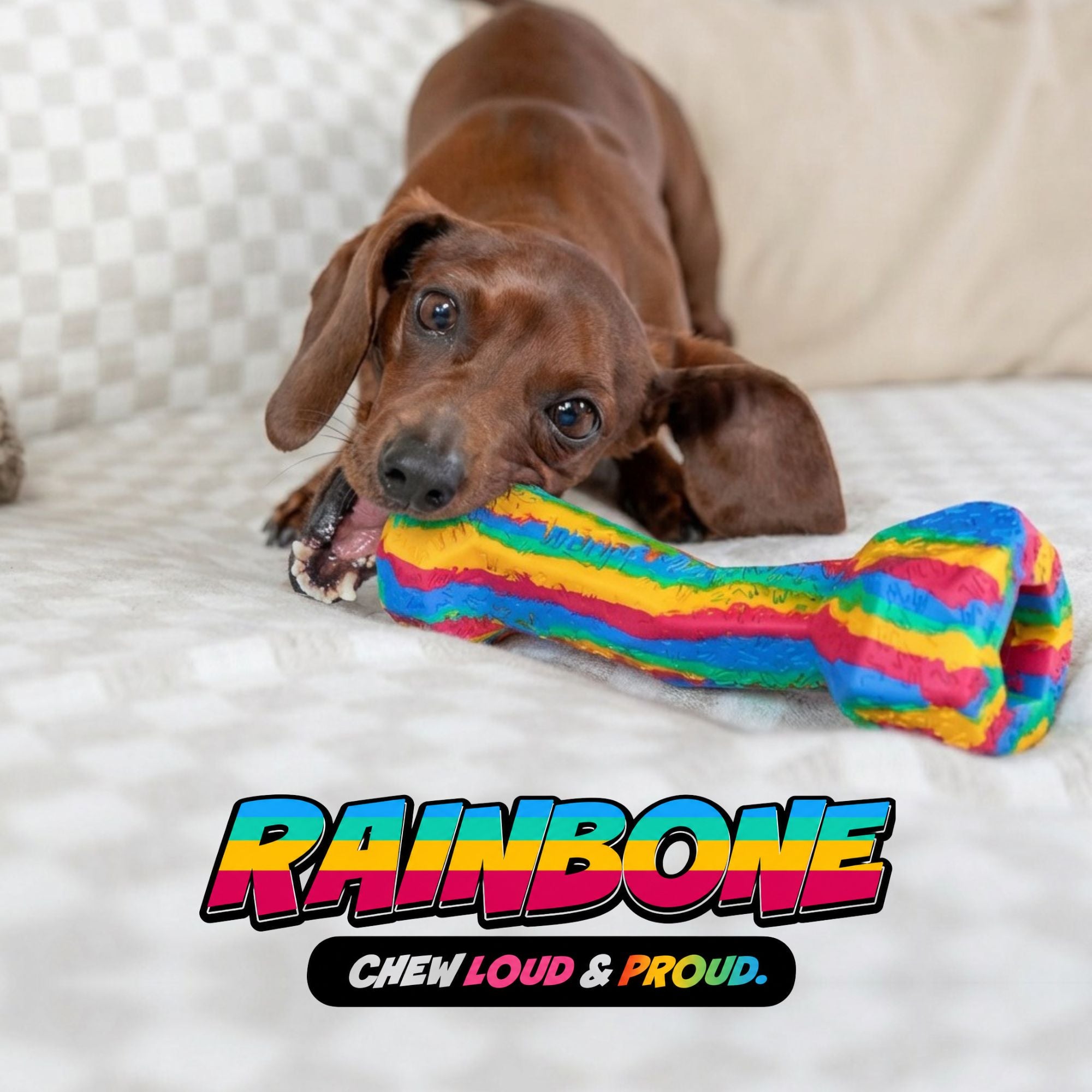 RainBone Dog Chew Toy - Celebrating Pride & The LGBTQ+ Community 🌈