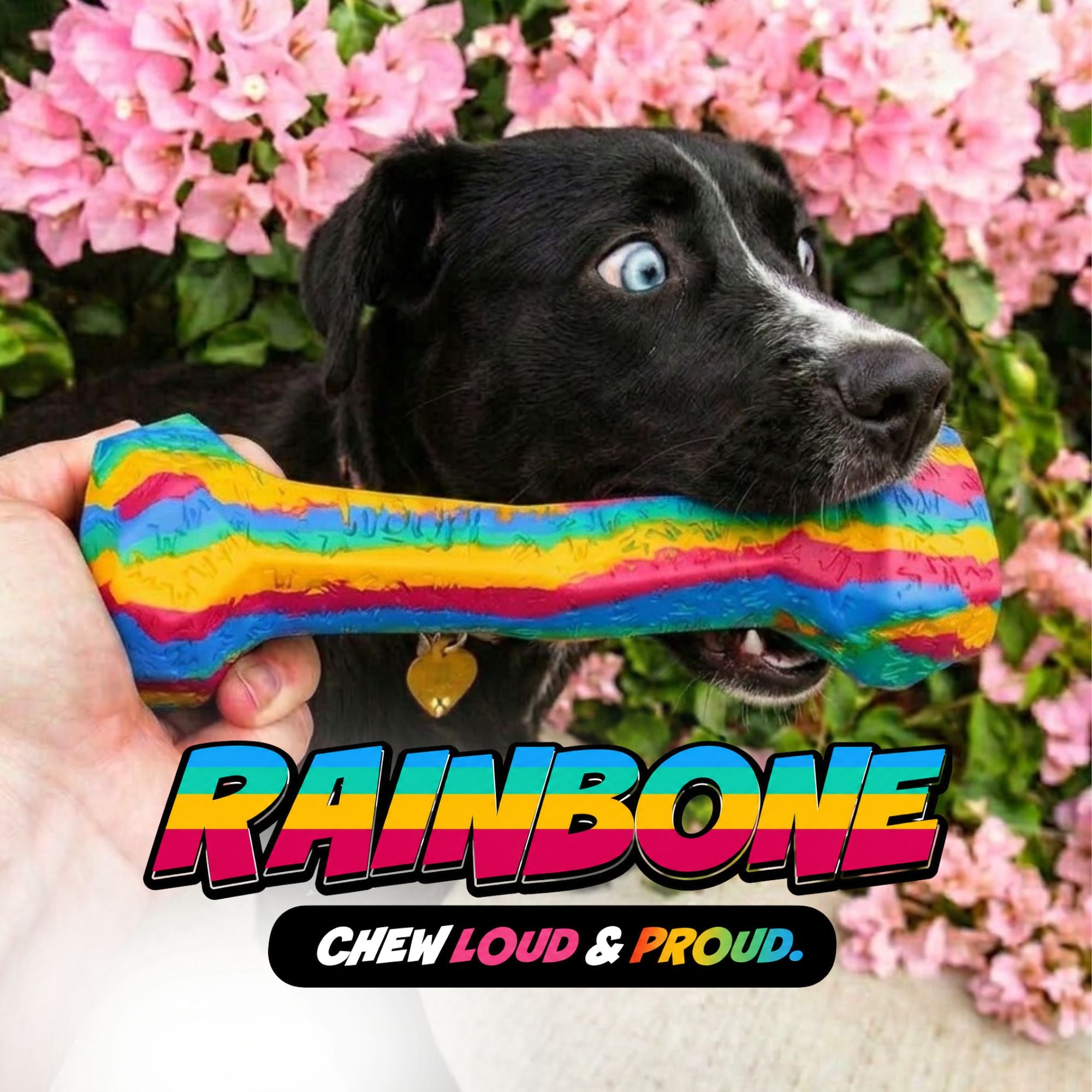 RainBone Dog Chew Toy - Celebrating Pride & The LGBTQ+ Community 🌈