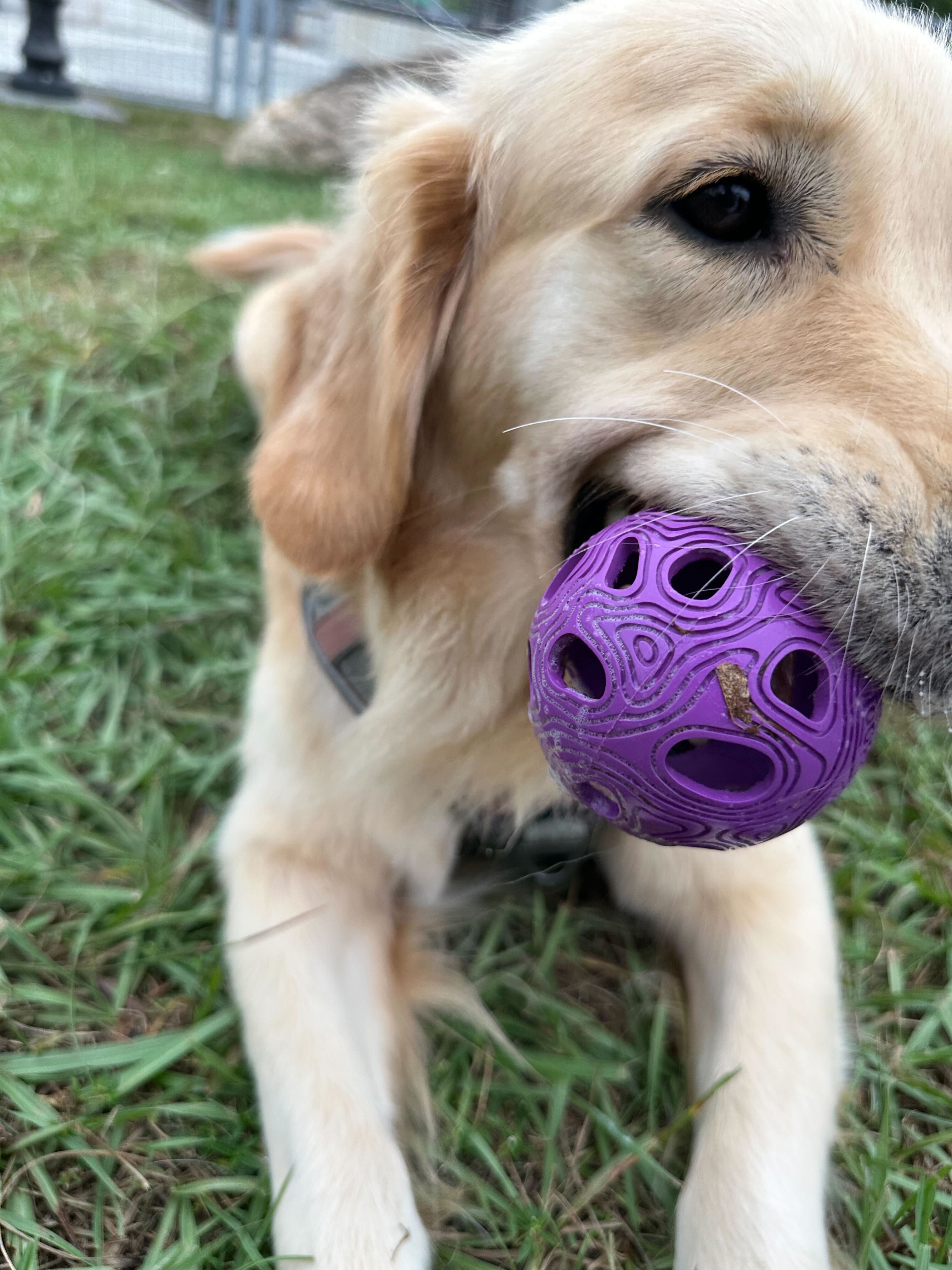 MeteorBite Purple Dog Chew Toy – Durable, Bouncy Ball for Dogs