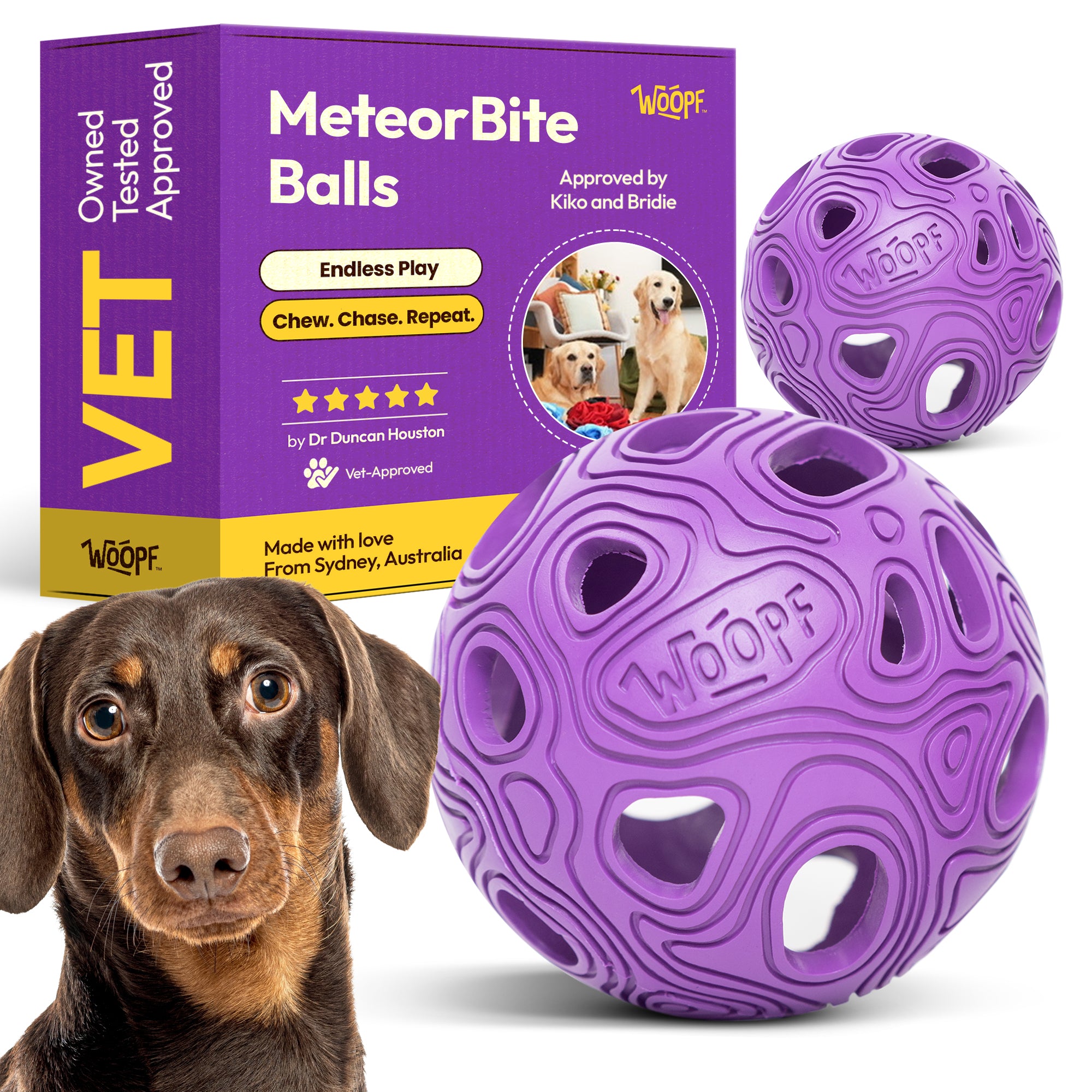 MeteorBite Purple Dog Chew Toy – Durable, Bouncy Ball for Dogs